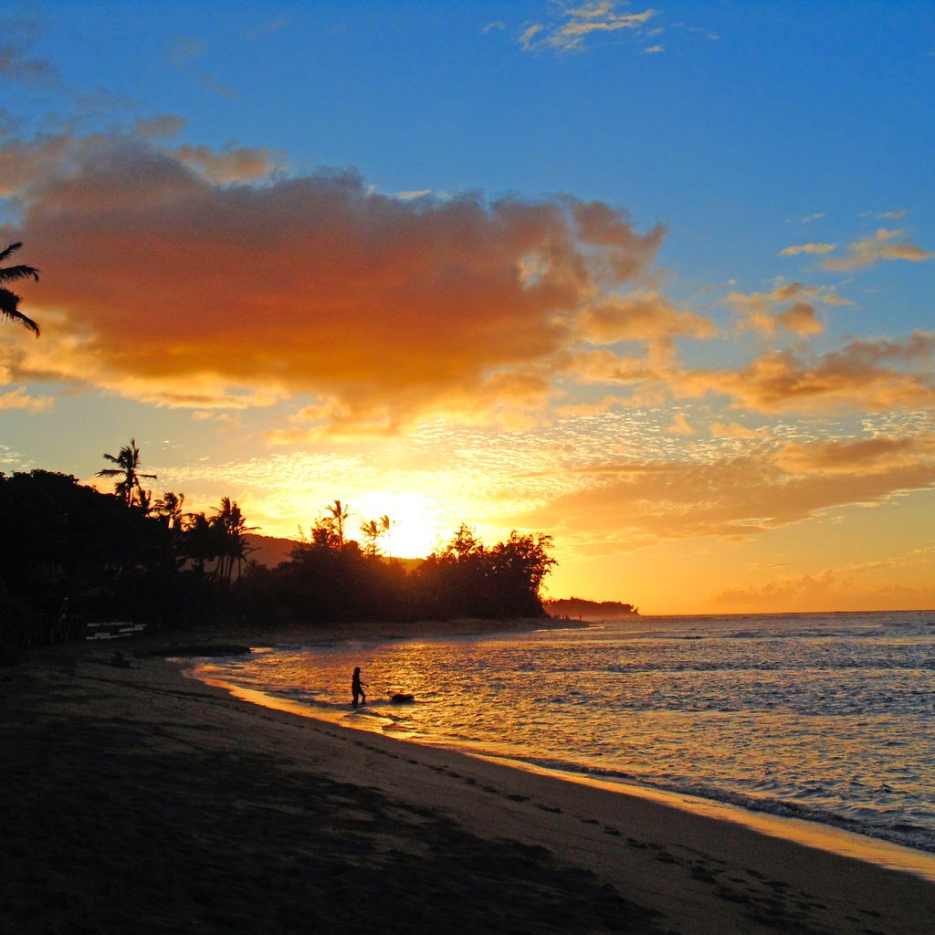 Обои закат, море, пляж, тропики, 5, sunset, sea, beach, tropics разрешение 5184x3888 Загрузить