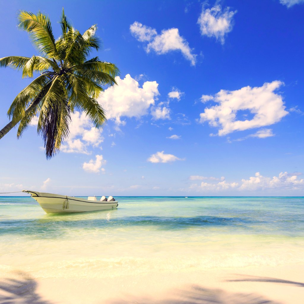 Обои море, пляж, лодка, тропики, sea, beach, boat, tropics разрешение 5971x3981 Загрузить