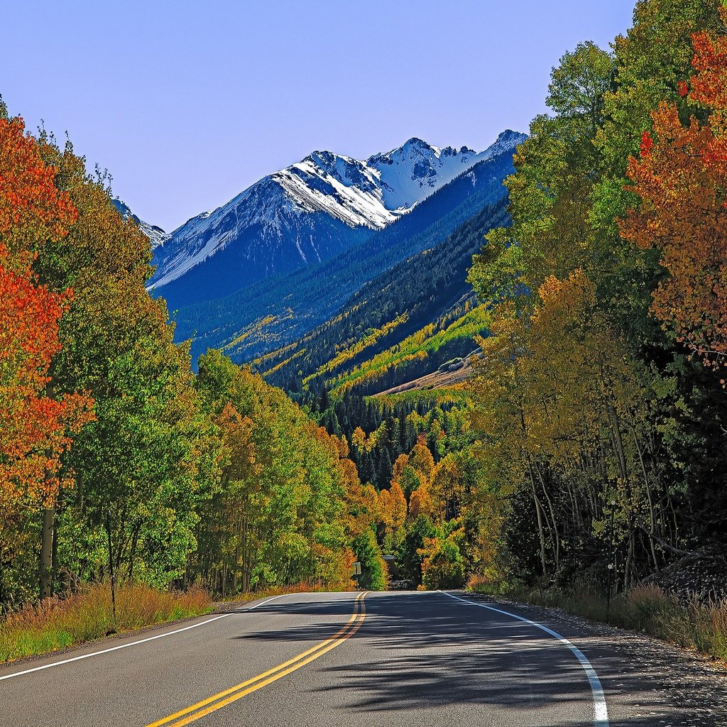 Обои дорога, деревья, горы, осень, сша, колорадо, лайзард хед пасс, road, trees, mountains, autumn, usa, colorado, lizard head pass разрешение 2048x1201 Загрузить