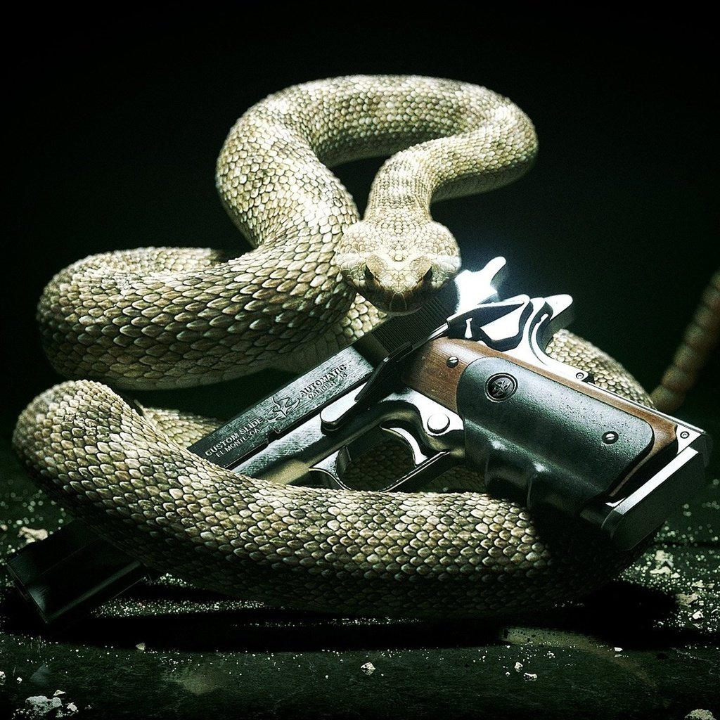 Обои фон, пистолет, змея, заставка, background, gun, snake, saver разрешение 1920x1080 Загрузить