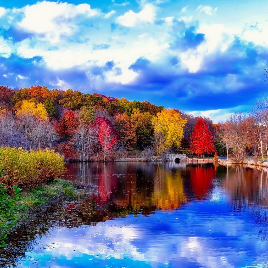 Обои небо, облака, деревья, река, мостик, отражение, осень, the sky, clouds, trees, river, the bridge, reflection, autumn разрешение 2048x1376 Загрузить