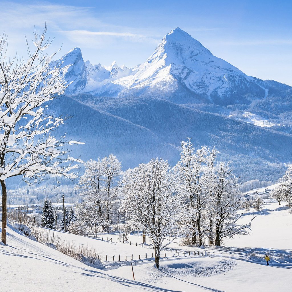 Обои деревья, горы, снег, природа, зима, альпы, бавария, trees, mountains, snow, nature, winter, alps, bayern разрешение 1920x1200 Загрузить