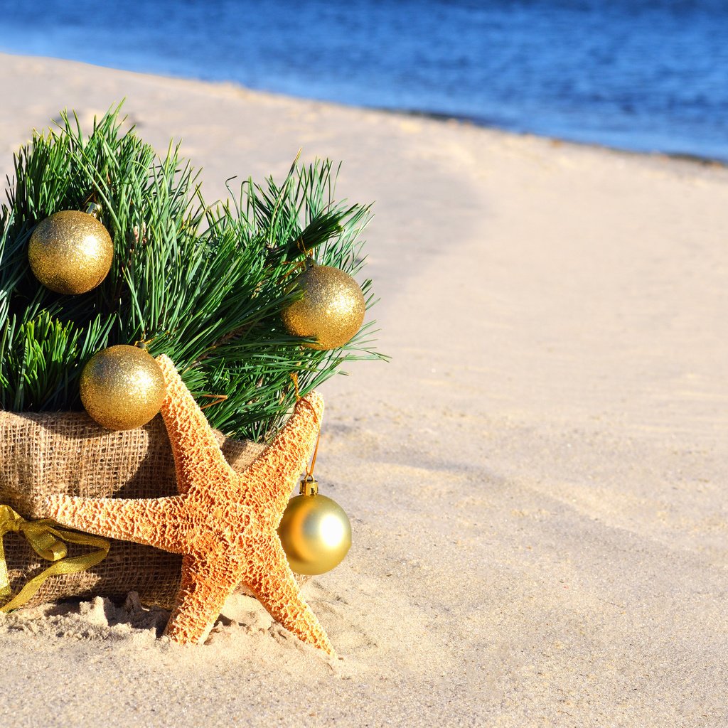 Обои морская звезда, новый год, мешковина, елка, шары, песок, пляж, корзина, рождество, елочные украшения, starfish, new year, burlap, tree, balls, sand, beach, basket, christmas, christmas decorations разрешение 3840x2400 Загрузить