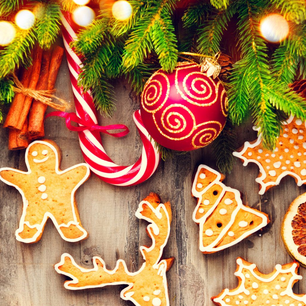 Обои новый год, леденец, елка, хвоя, корица, апельсин, рождество, печенье, выпечка, new year, lollipop, tree, needles, cinnamon, orange, christmas, cookies, cakes разрешение 1920x1200 Загрузить