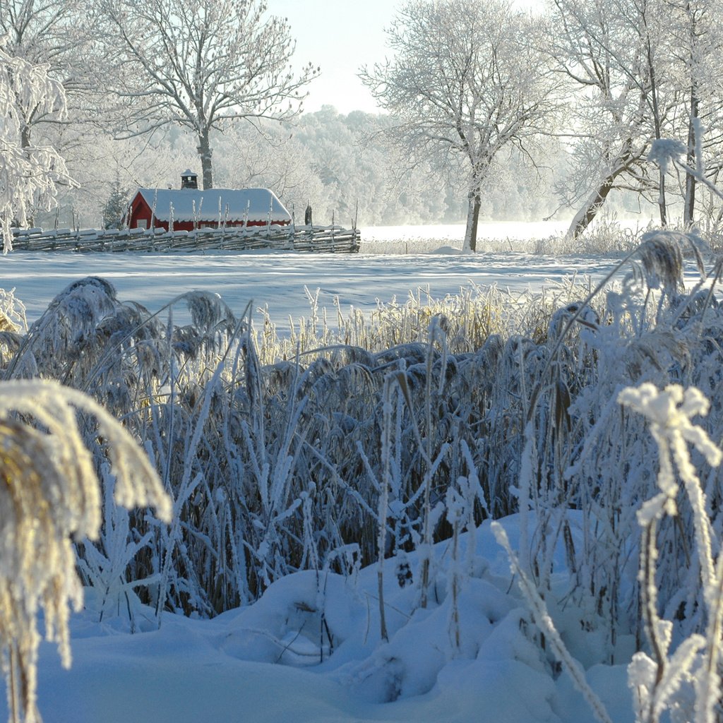 Обои деревья, снег, природа, зима, кусты, иней, деревня, домик, trees, snow, nature, winter, the bushes, frost, village, house разрешение 2880x1800 Загрузить