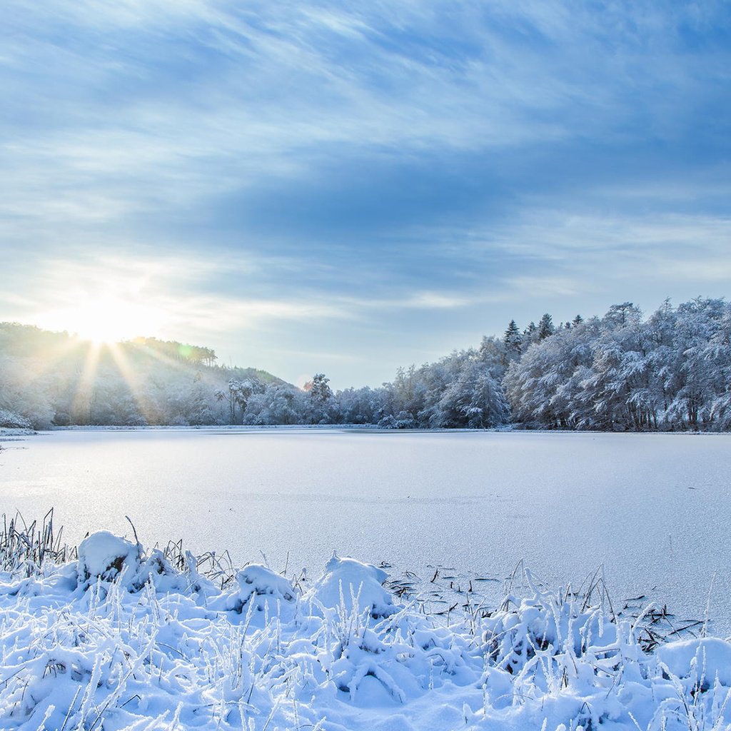 Обои небо, река, снег, природа, зима, пейзаж, иней, the sky, river, snow, nature, winter, landscape, frost разрешение 1920x1080 Загрузить