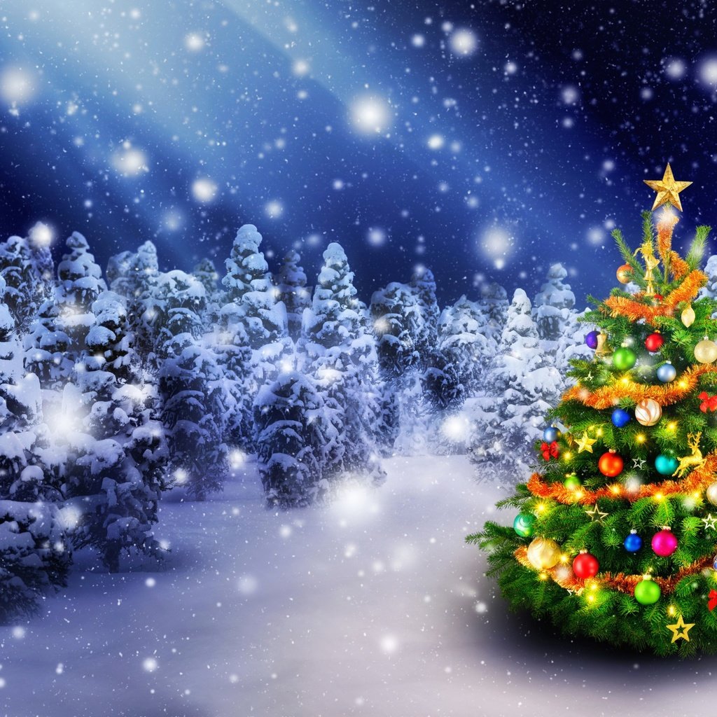 Обои новый год, елка, лес, зима, рождество, new year, tree, forest, winter, christmas разрешение 2880x1800 Загрузить