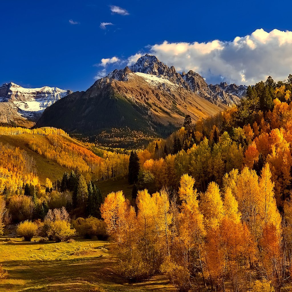 Обои небо, облака, деревья, горы, природа, лес, осень, колорадо, the sky, clouds, trees, mountains, nature, forest, autumn, colorado разрешение 1920x1200 Загрузить