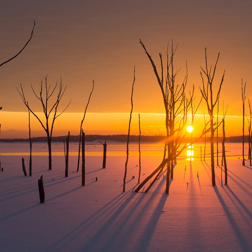 Обои деревья, солнце, снег, закат, зима, пейзаж, trees, the sun, snow, sunset, winter, landscape разрешение 1920x1200 Загрузить