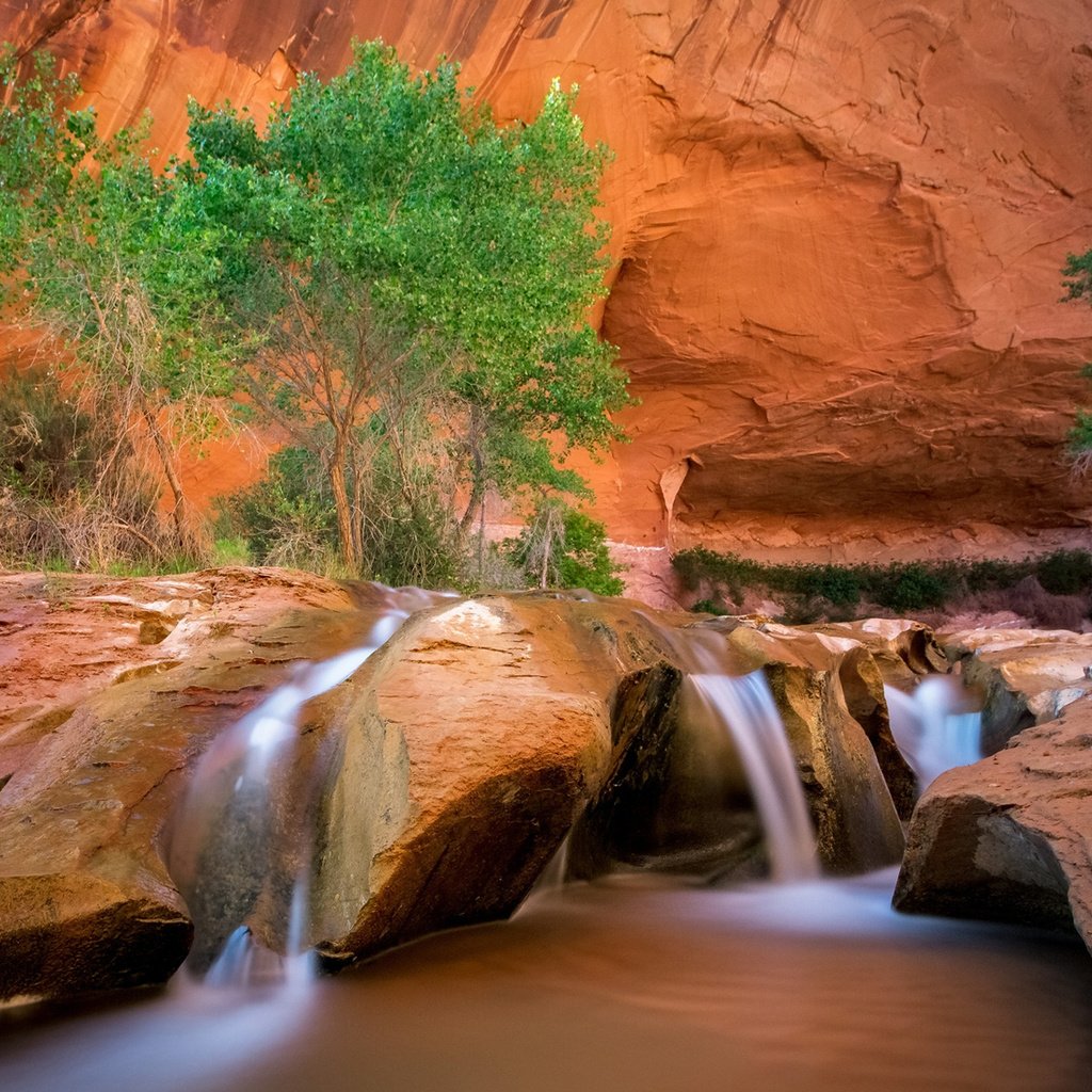 Обои река, скалы, пейзаж, водопад, каньон, david swindler, coyote gulch, эскаланте, river, rocks, landscape, waterfall, canyon, escalante разрешение 1920x1200 Загрузить