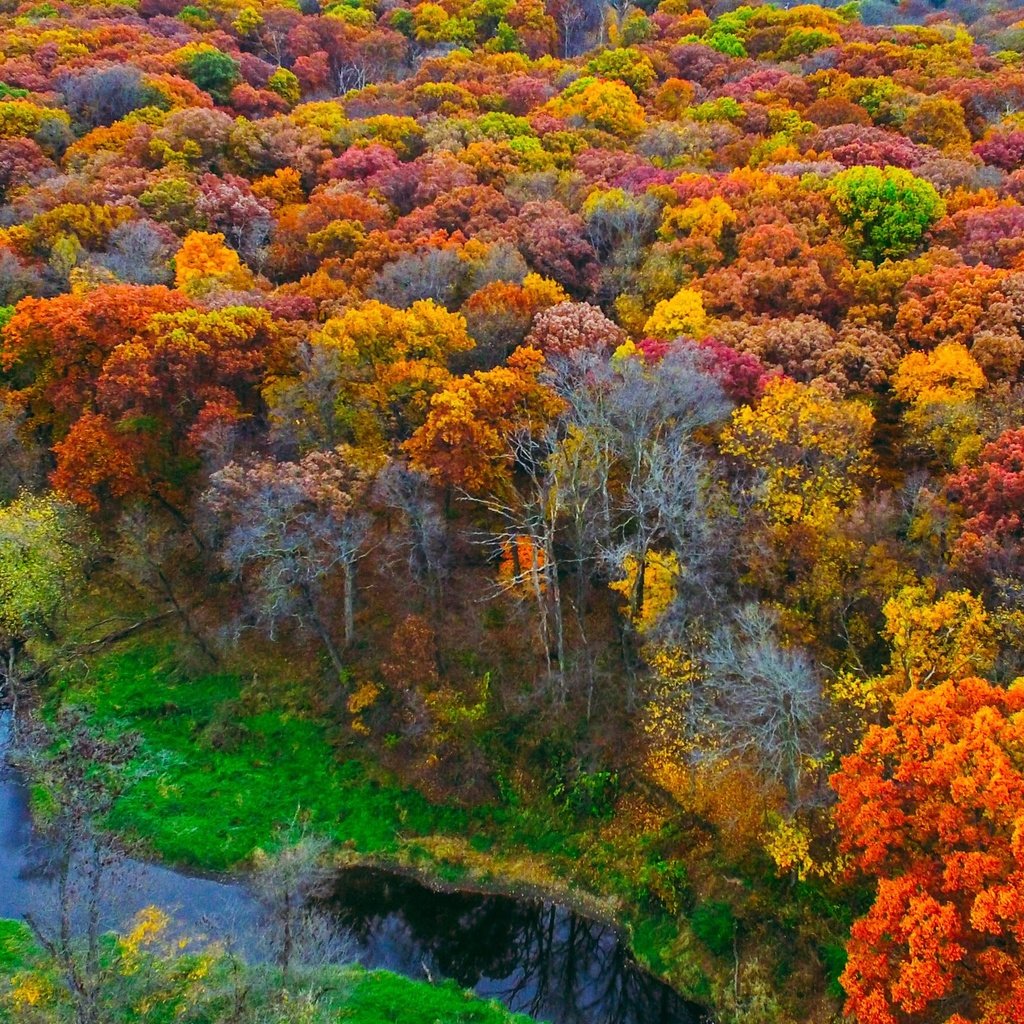 Обои деревья, река, природа, лес, листья, осень, trees, river, nature, forest, leaves, autumn разрешение 2880x1800 Загрузить