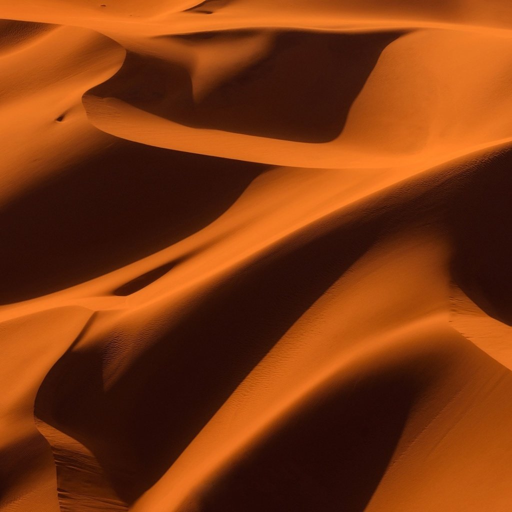 Обои песок, пустыня, дюны, пески, sand, desert, dunes, sands разрешение 1920x1200 Загрузить