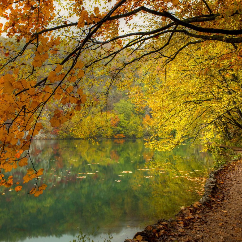 Обои озеро, природа, лес, осень, lake, nature, forest, autumn разрешение 1920x1200 Загрузить