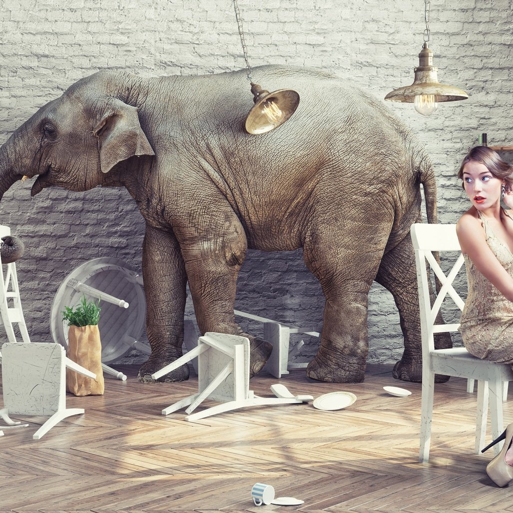 Обои девушка, слон, креатив, ресторан, girl, elephant, creative, restaurant разрешение 2880x1800 Загрузить