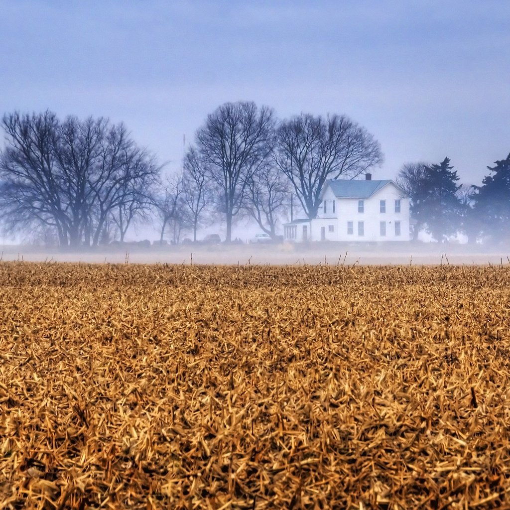 Обои небо, деревья, туман, поле, ферма, канзас, the sky, trees, fog, field, farm, kansas разрешение 3840x2160 Загрузить