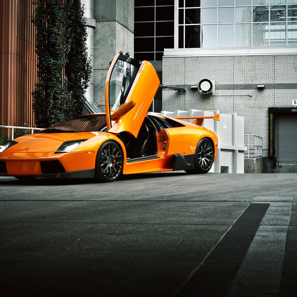 Обои апельсин, ламборгини, murcielago, ламборджини, передний, orange, lamborghini, front разрешение 2048x1365 Загрузить