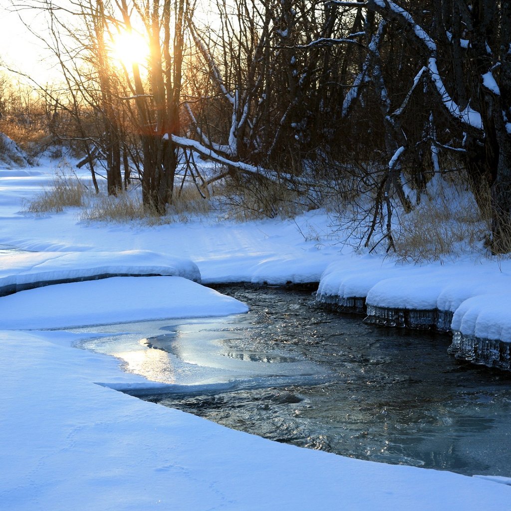 Обои деревья, река, снег, природа, зима, trees, river, snow, nature, winter разрешение 1920x1200 Загрузить