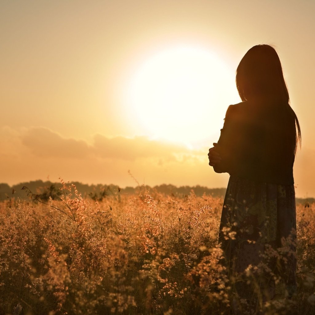 Обои девушка, настроение, поле, закат солнца, волосы, вид сзади, girl, mood, field, sunset, hair, rear view разрешение 3831x2554 Загрузить