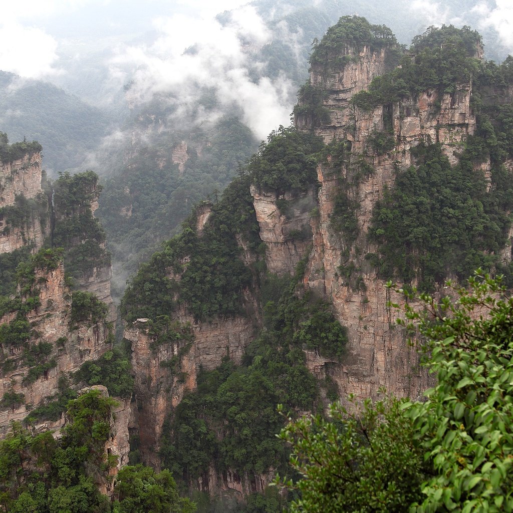 Обои горы, скалы, природа, туман, китай, zhangjiajie national forest park, zhangjiajie national park, чжанцзяцзе, mountains, rocks, nature, fog, china, zhangjiajie разрешение 3840x2560 Загрузить