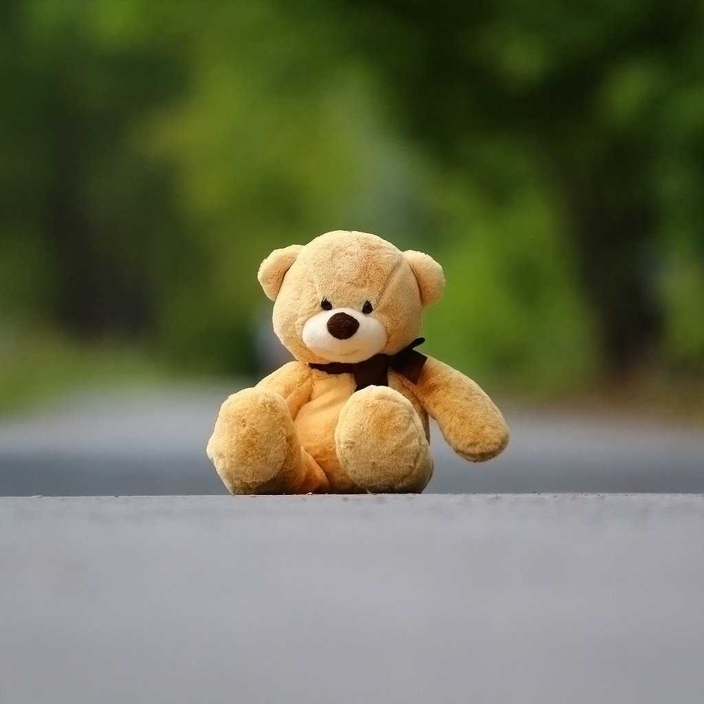 Обои фон, медведь, мишка, игрушка, асфальт, плюшевый мишка, background, bear, toy, asphalt, teddy bear разрешение 1920x1280 Загрузить