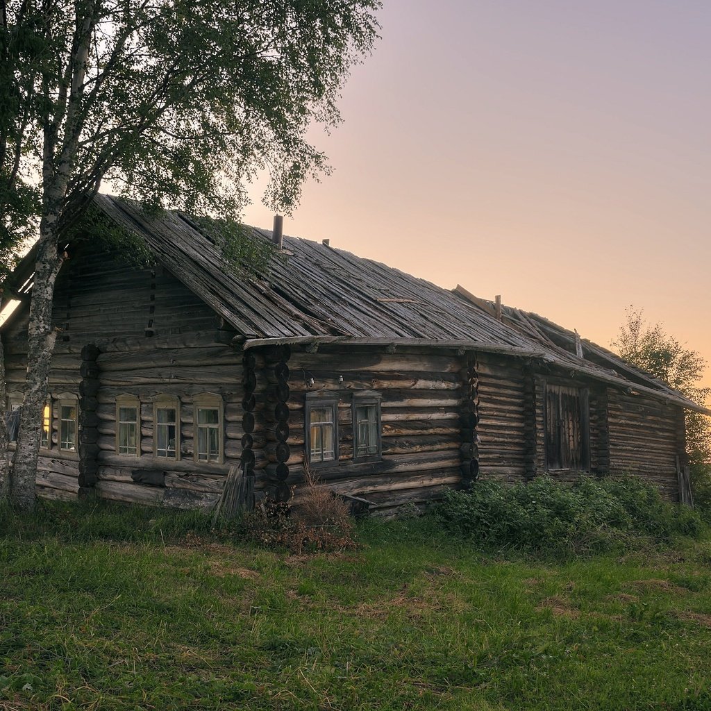 Обои трава, березы, лето, деревня, дом, архангельская область, печище, grass, birch, summer, village, house, arkhangelsk oblast, pechysche разрешение 2391x1400 Загрузить