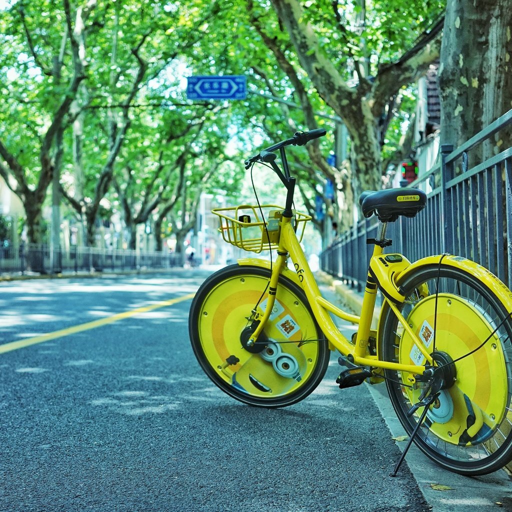 Обои деревья, город, улица, велосипед, trees, the city, street, bike разрешение 5567x3706 Загрузить