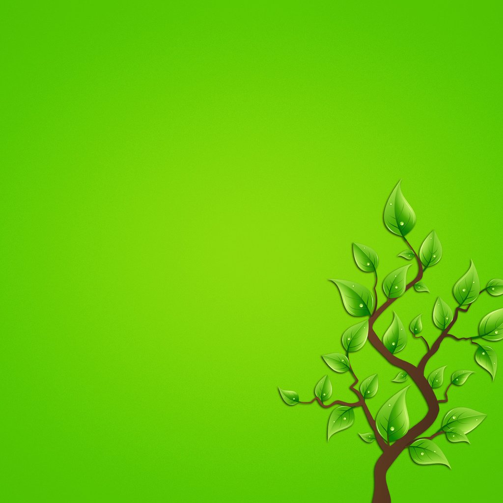 Обои ветка, дерево, листья, фон, минимализм, branch, tree, leaves, background, minimalism разрешение 1920x1200 Загрузить