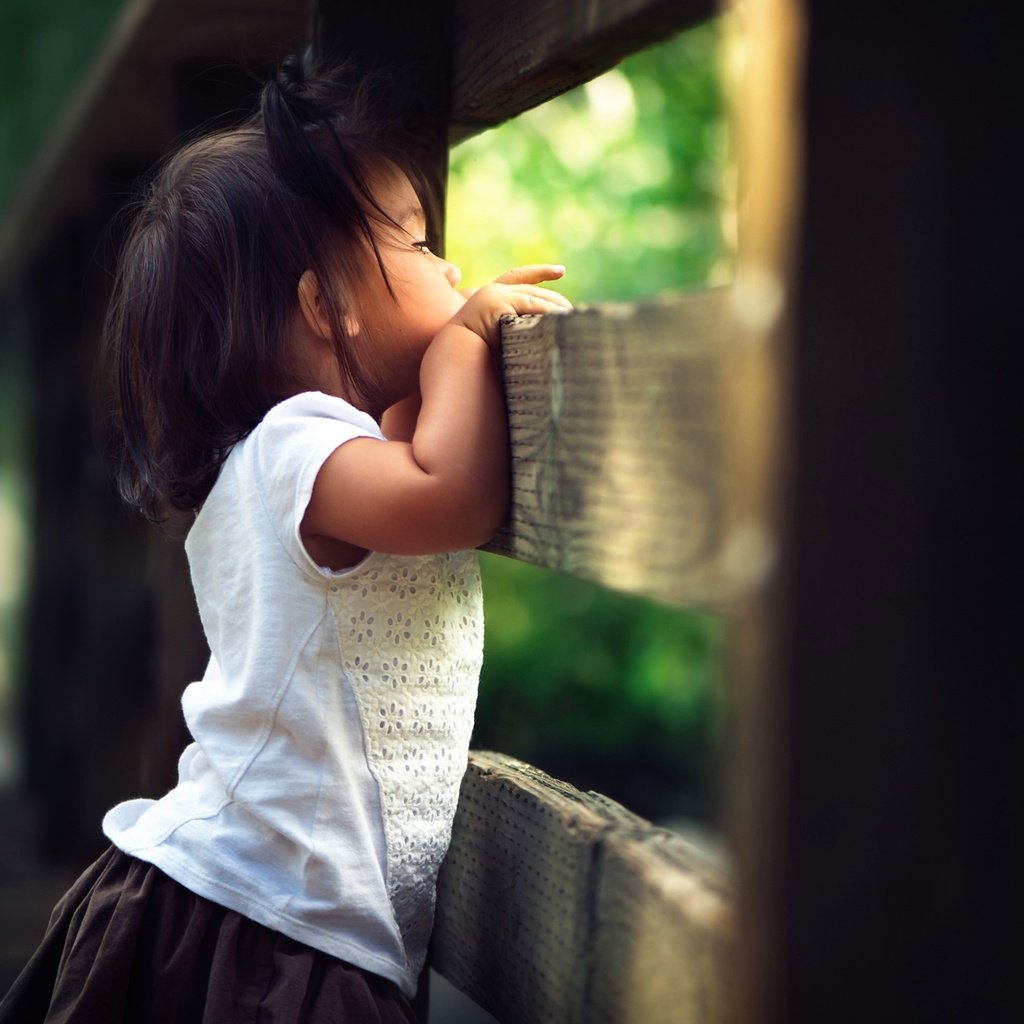 Обои забор, дети, девочка, ребенок, любопытство, боке, the fence, children, girl, child, curiosity, bokeh разрешение 2048x1454 Загрузить