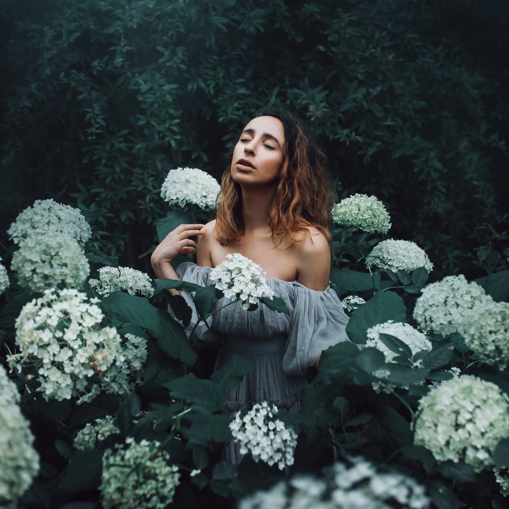 Обои цветы, девушка, настроение, гортензия, amy spanos, flowers, girl, mood, hydrangea разрешение 2048x1365 Загрузить