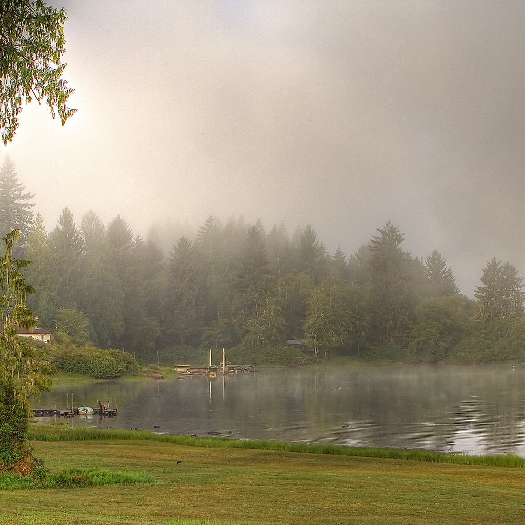 Обои деревья, озеро, река, природа, лес, туман, trees, lake, river, nature, forest, fog разрешение 3456x1936 Загрузить