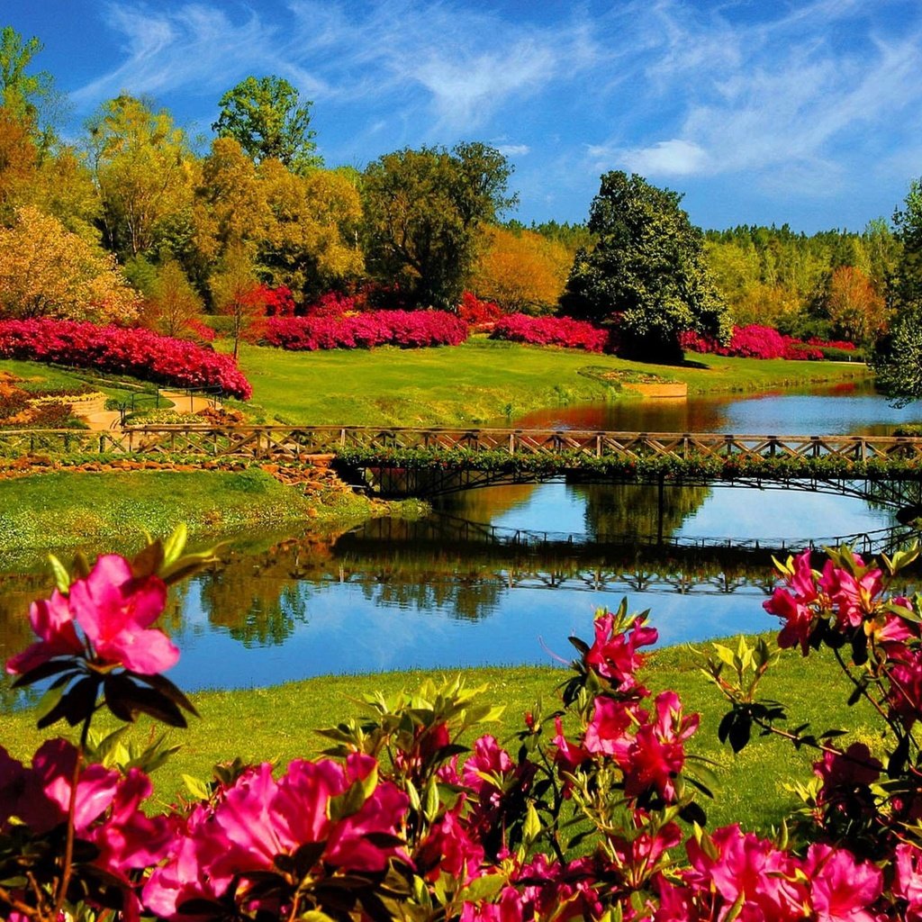 Обои цветы, природа, мост, flowers, nature, bridge разрешение 2560x1600 Загрузить