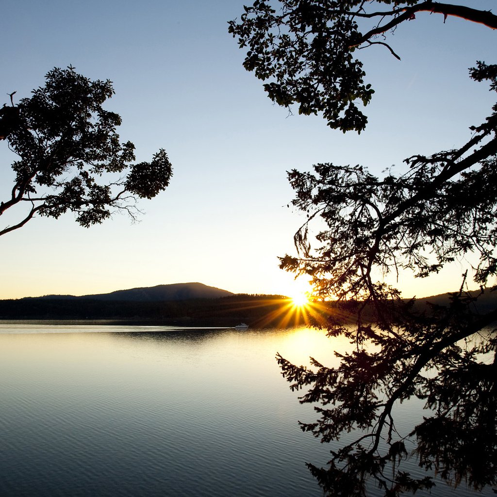 Обои деревья, озеро, горы, закат, ветки, водоем, даль, силуэты, trees, lake, mountains, sunset, branches, pond, dal, silhouettes разрешение 1920x1080 Загрузить