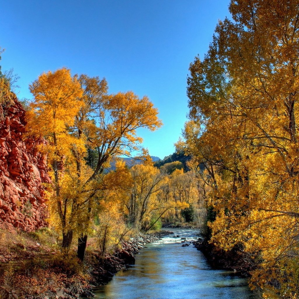 Обои небо, деревья, река, природа, осень, желтые листья, the sky, trees, river, nature, autumn, yellow leaves разрешение 1920x1080 Загрузить