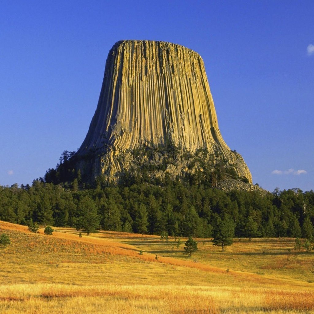 Обои деревья, осень, сша, плато, вайоминг, башня дьявола, trees, autumn, usa, plateau, wyoming, devil's tower разрешение 1920x1080 Загрузить