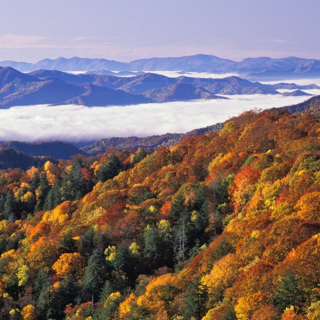 Обои деревья, горы, лес, пейзаж, осень, great smoky mountains national park, trees, mountains, forest, landscape, autumn разрешение 1920x1080 Загрузить