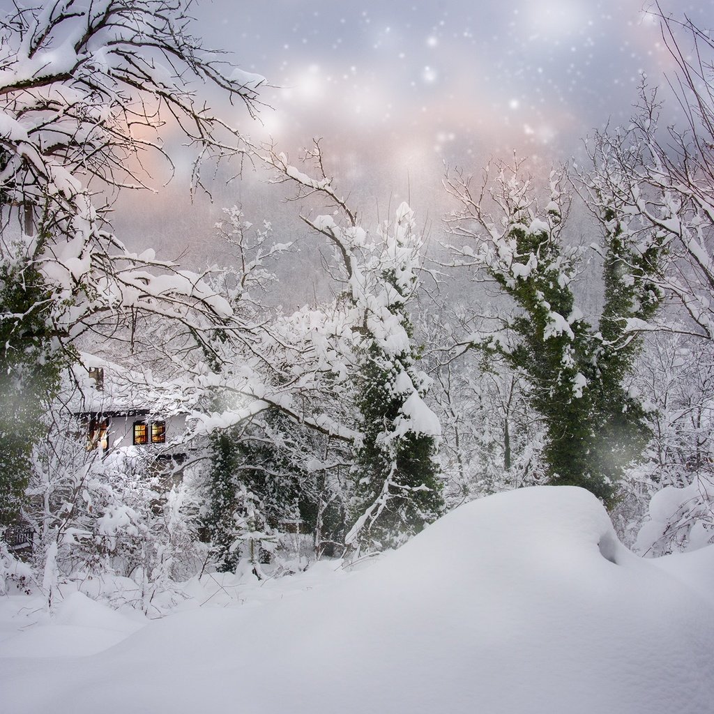 Обои деревья, болгария, снег, природа, зима, пейзаж, дом, сугробы, снегопад, trees, bulgaria, snow, nature, winter, landscape, house, the snow, snowfall разрешение 2000x1325 Загрузить