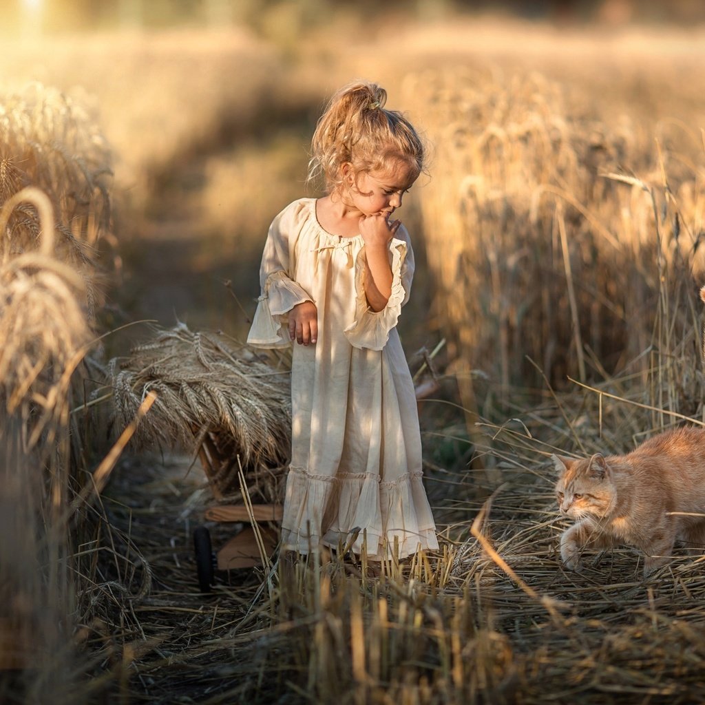 Обои природа, платье, кот, поле, девочка, колосья, животное, тележка, nature, dress, cat, field, girl, ears, animal, truck разрешение 2048x1317 Загрузить