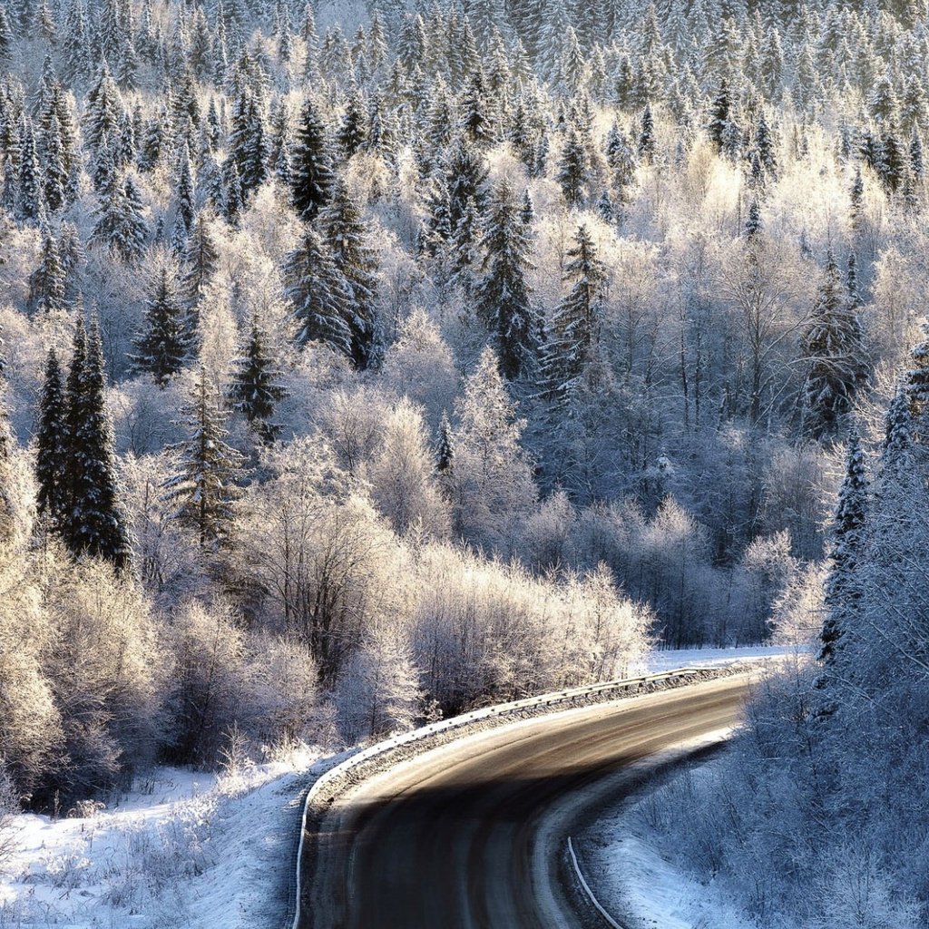 Обои дорога, лес, зима, иней, road, forest, winter, frost разрешение 2112x1188 Загрузить