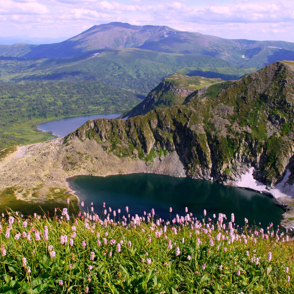 Обои цветы, озеро, горы, flowers, lake, mountains разрешение 1929x1240 Загрузить