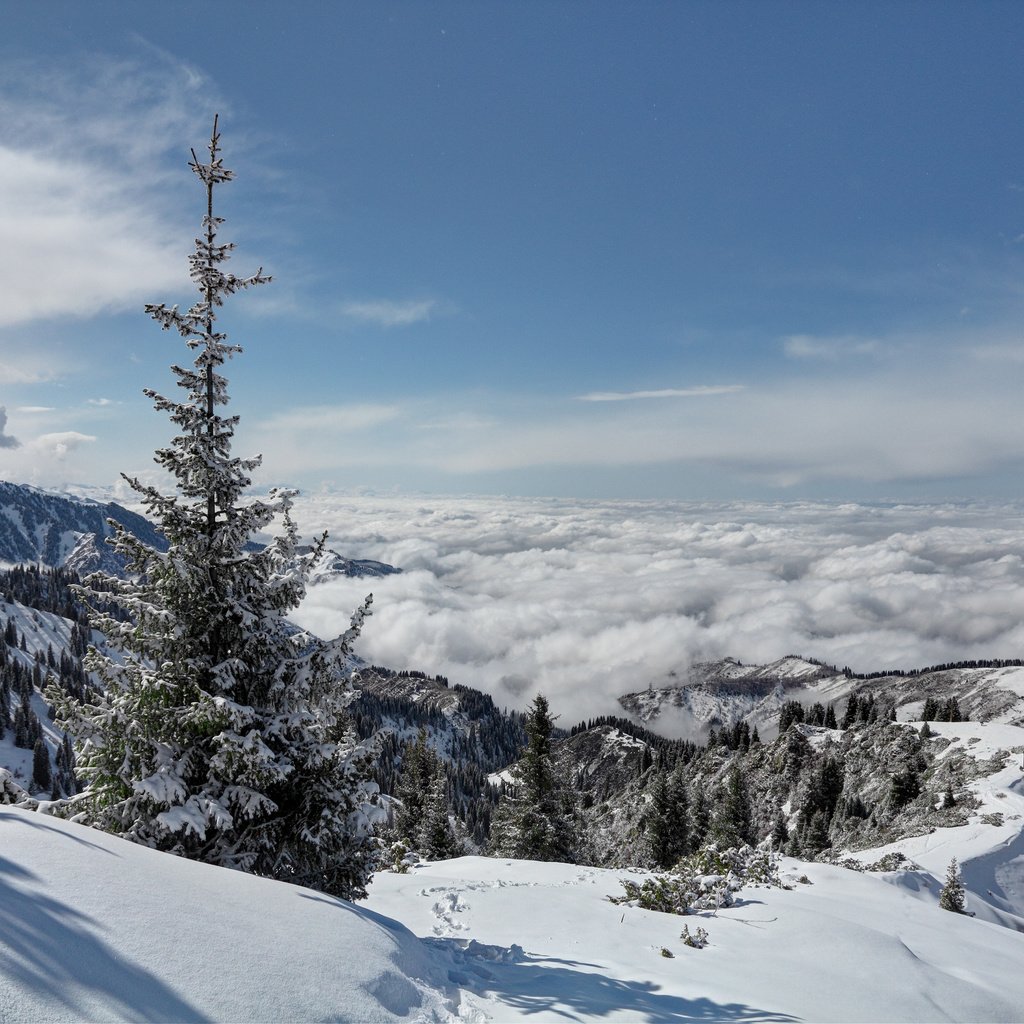 Обои горы, зима, mountains, winter разрешение 3318x2212 Загрузить