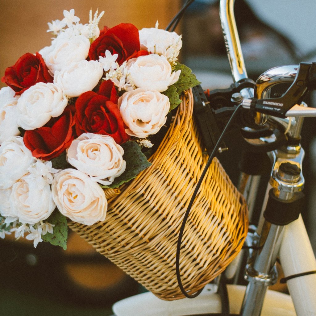 Обои настроение, розы, букет, корзина, велосипед, mood, roses, bouquet, basket, bike разрешение 2112x1188 Загрузить