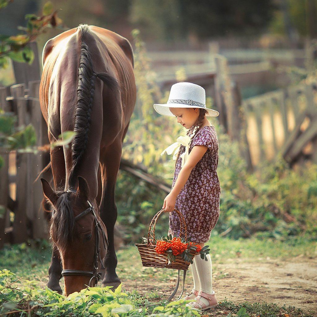 Обои лошадь, девочка, корзина, рябина, horse, girl, basket, rowan разрешение 2112x1188 Загрузить