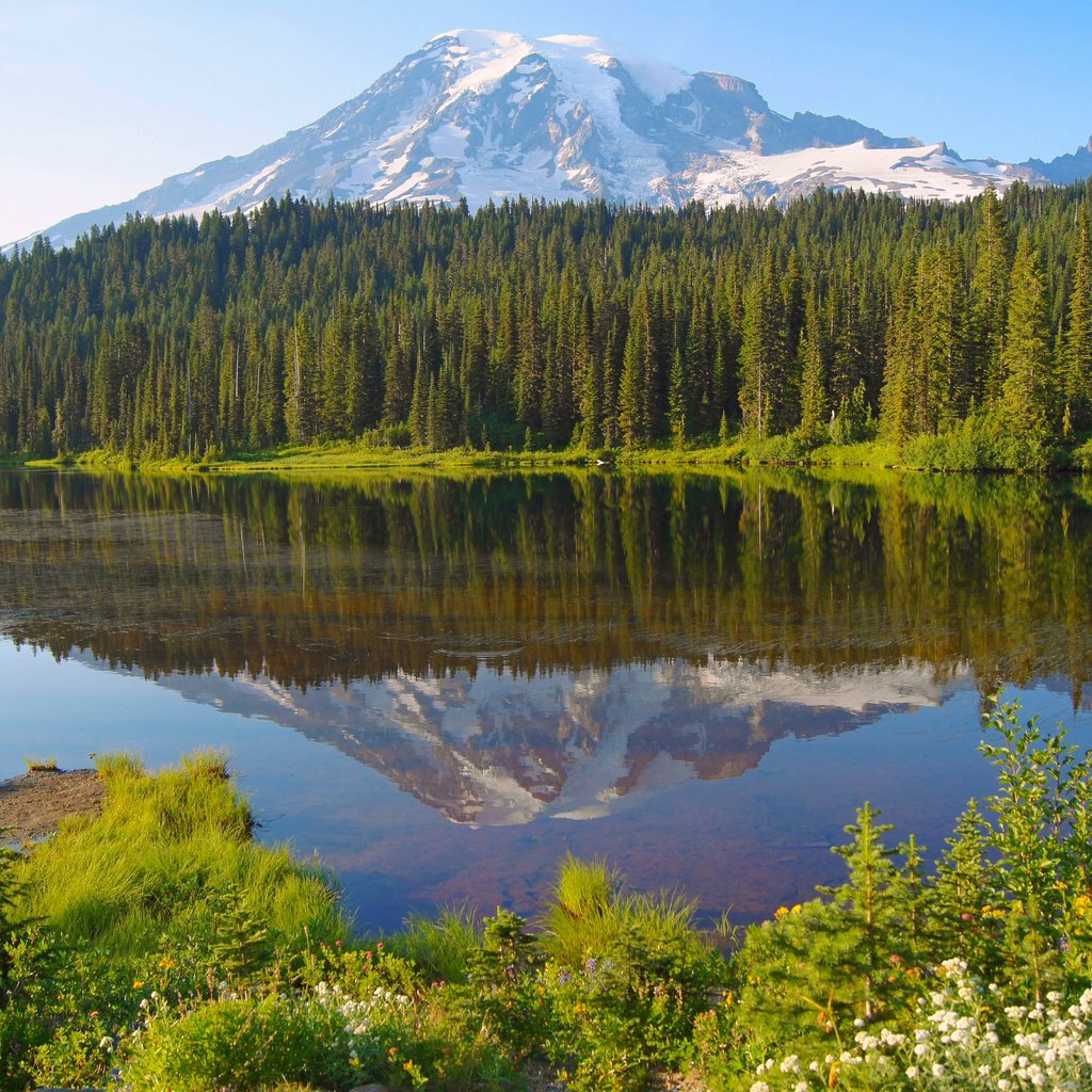 Обои озеро, лес, гора, канада, lake, forest, mountain, canada разрешение 4912x3264 Загрузить