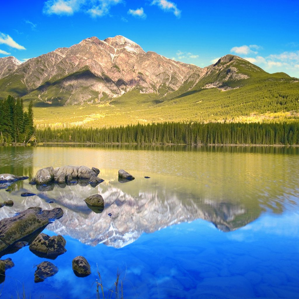 Обои озеро, горы, лес, lake, mountains, forest разрешение 2560x1600 Загрузить