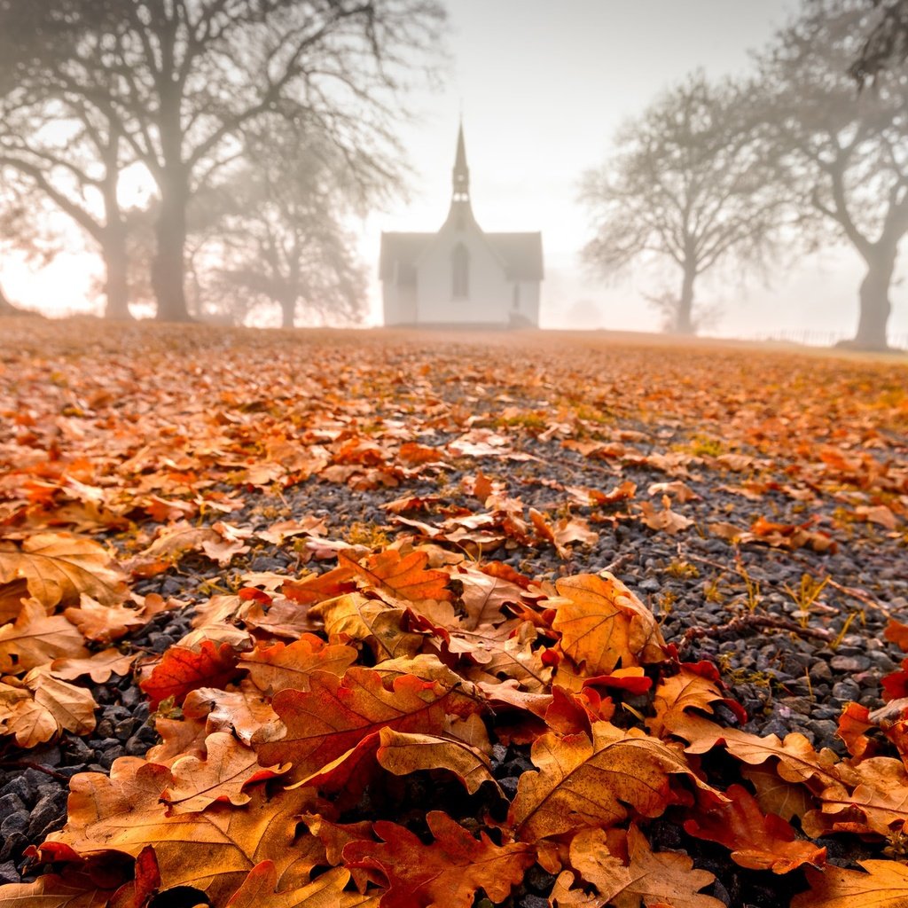 Обои природа, листья, туман, осень, здание, nature, leaves, fog, autumn, the building разрешение 2048x1249 Загрузить