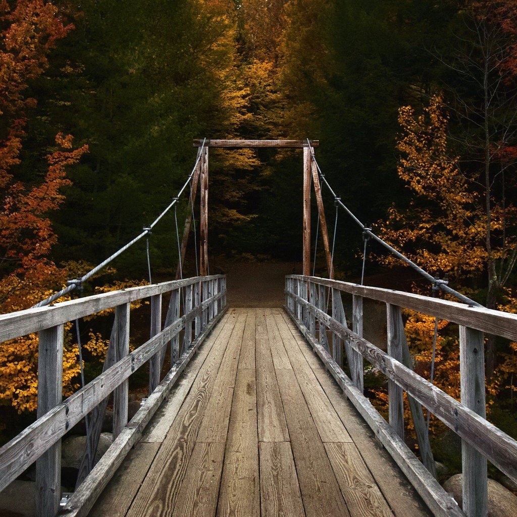 Обои река, природа, лес, мост, осень, river, nature, forest, bridge, autumn разрешение 2048x1365 Загрузить