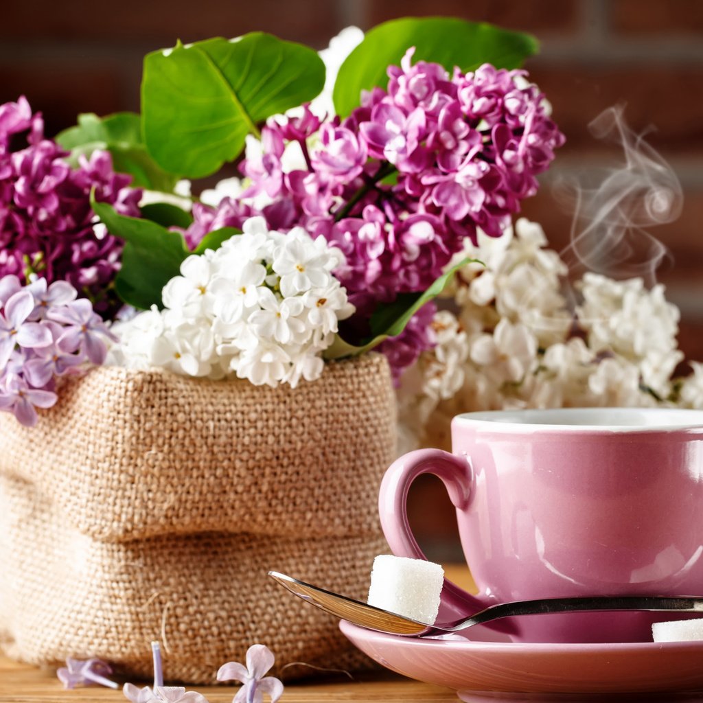 Обои кофе, букет, чашка, сирень, coffee, bouquet, cup, lilac разрешение 2112x1188 Загрузить