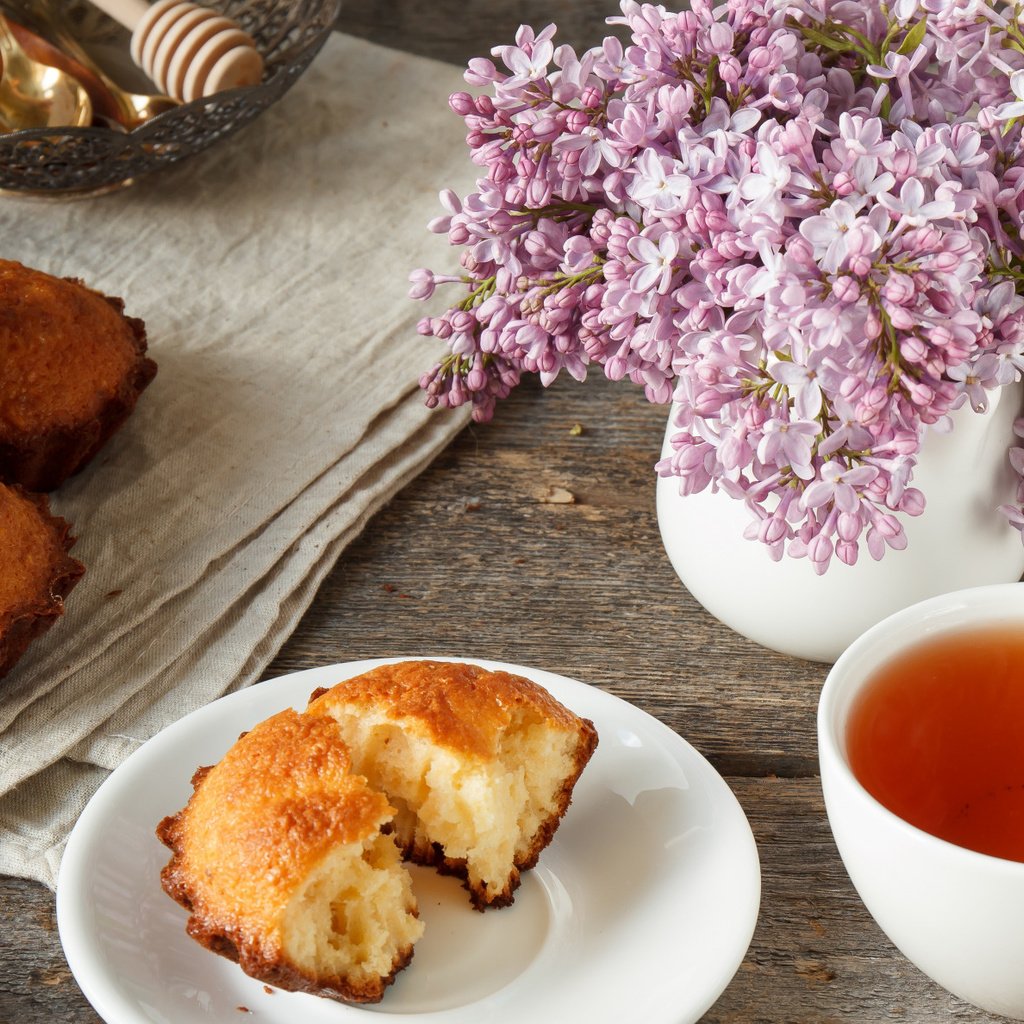 Обои дерево, фон, весна, чай, сирень, кекс, tree, background, spring, tea, lilac, cupcake разрешение 2112x1188 Загрузить