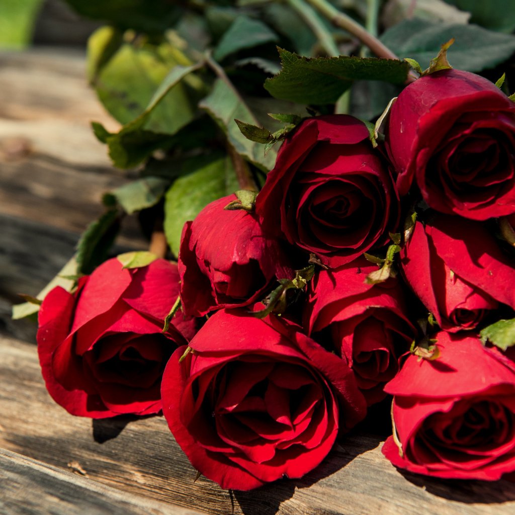 Обои розы, красные, букет, романтик, дерева, roses, red, bouquet, romantic, wood разрешение 2112x1188 Загрузить