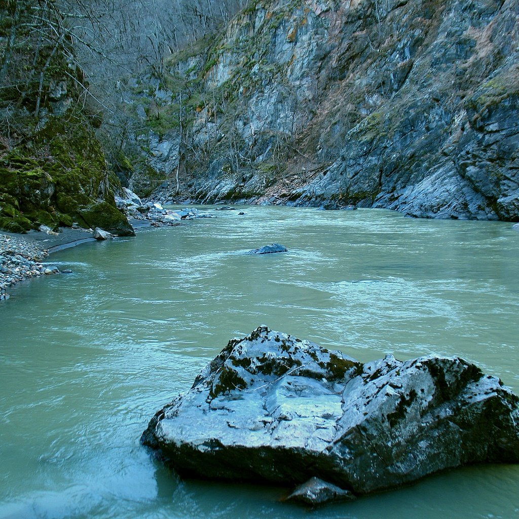 Обои река, природа, адыгея, river, nature, adygea разрешение 3264x2448 Загрузить